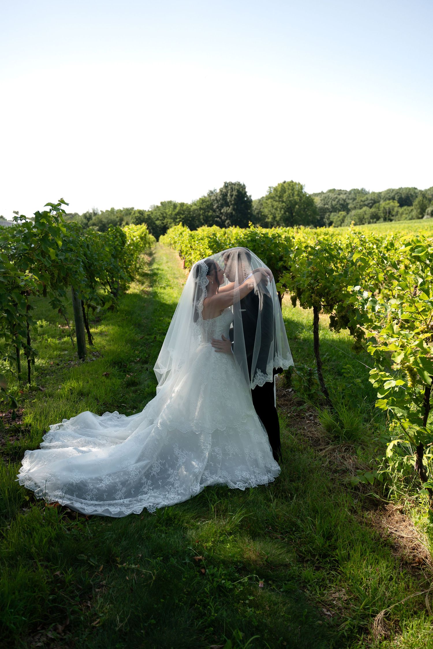 Bride and groom kissing under a veil in a lush vineyard on their wedding day.
