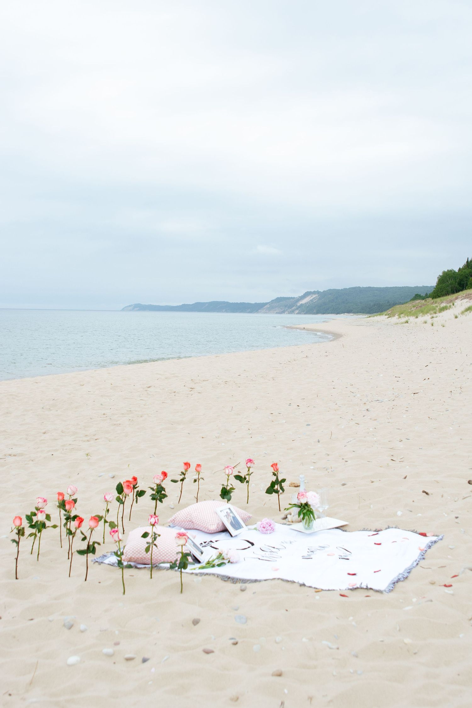 Pink roses line up along a white blanket on a sandy beach with hills in the distance.
