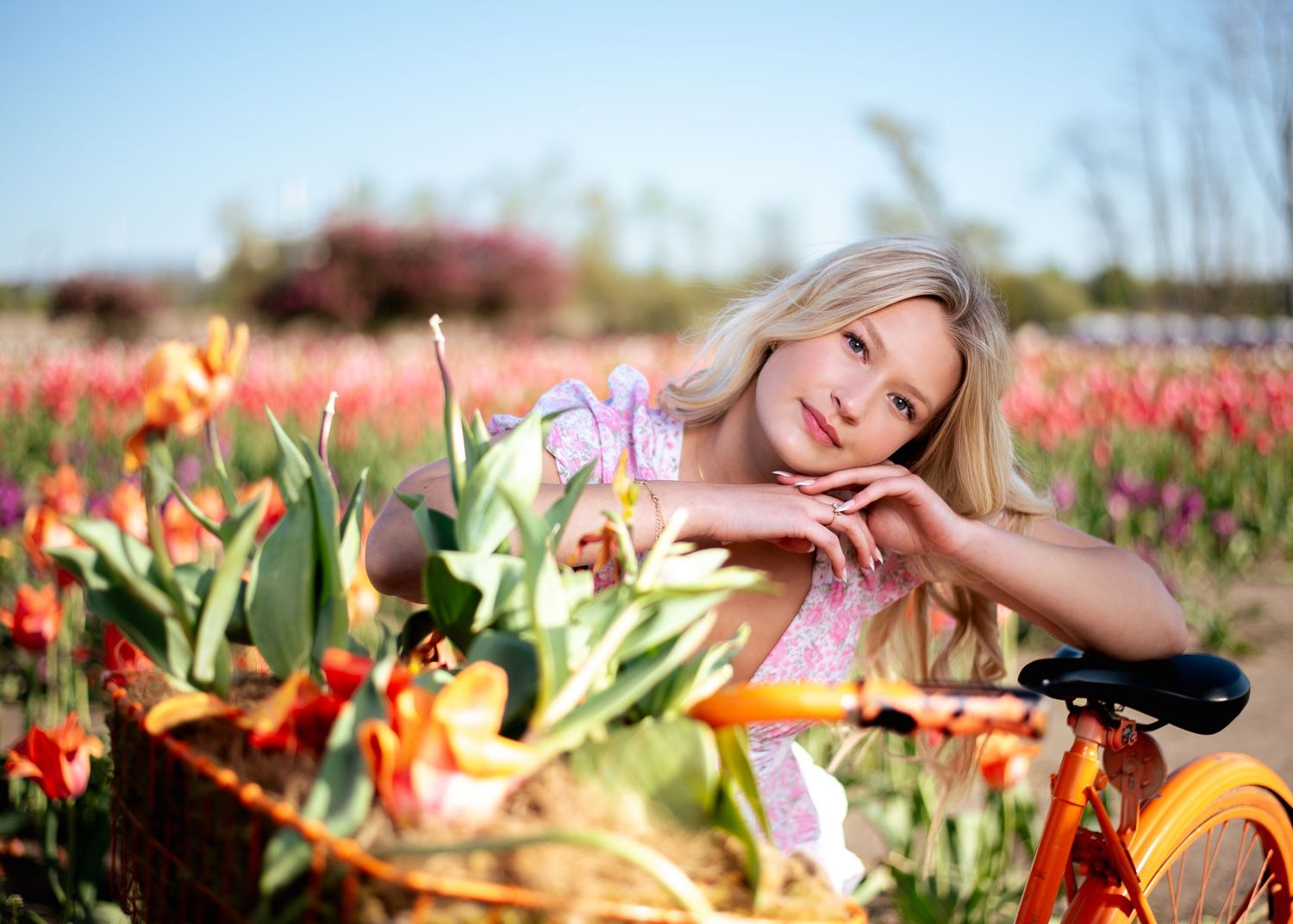 Artistic photo series in flower garden with orange and pink blooms.