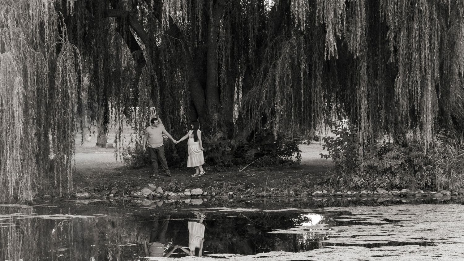 A romantic couple poses under a weeping willow tree with dramatic black and white lighting.