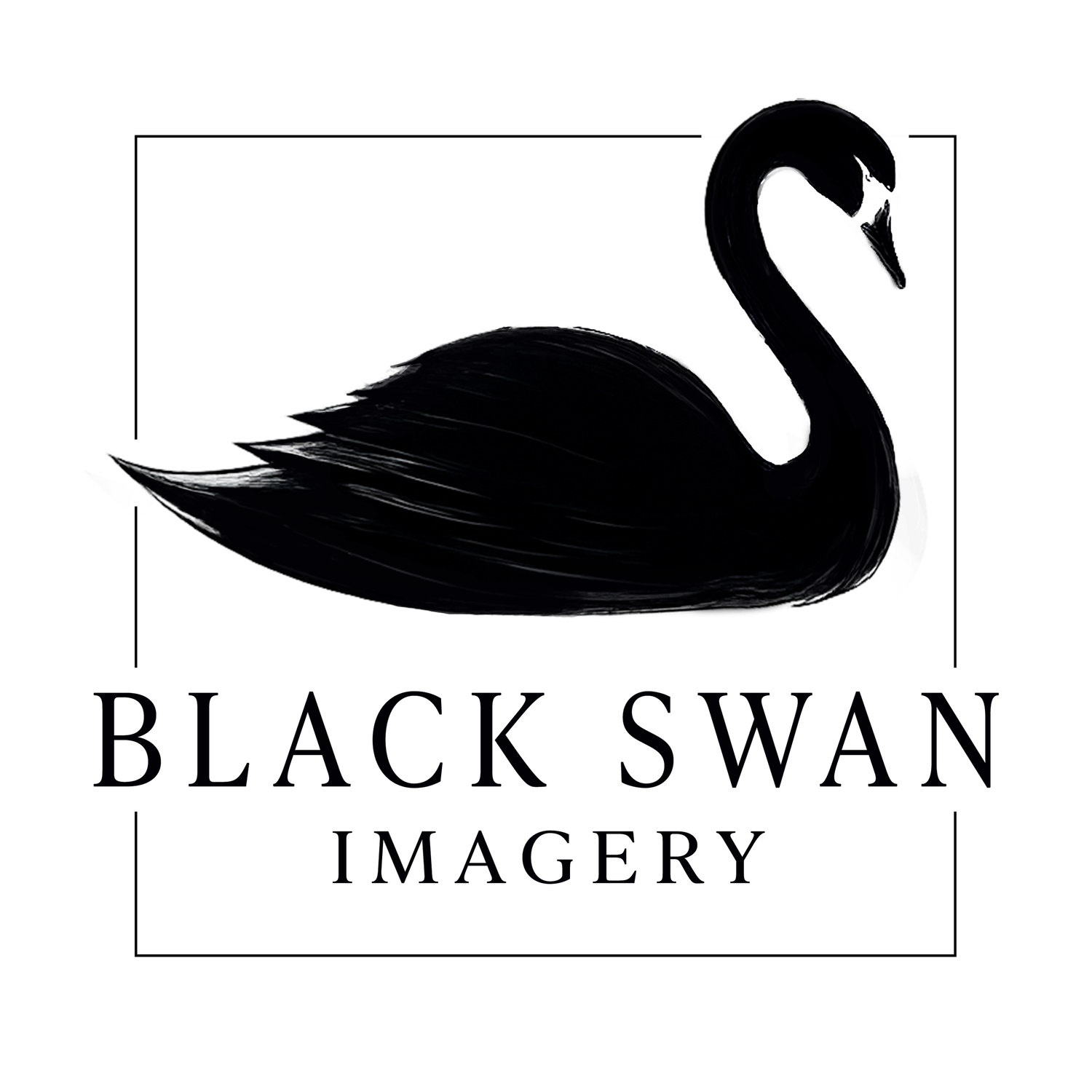 A minimalist black swan logo design with elegant silhouette against white background and company name below.