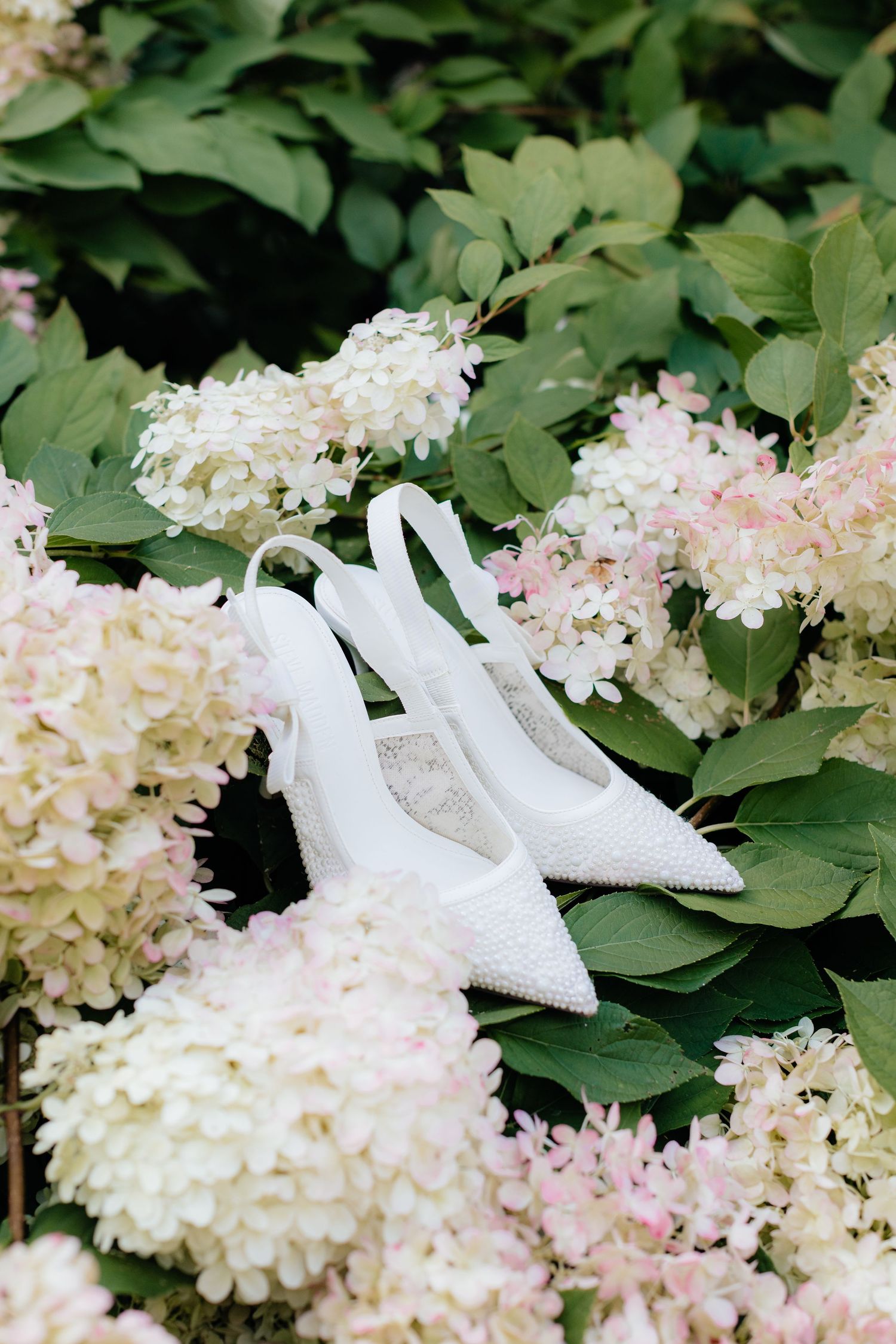 White bridal shoes nestled among blooming hydrangea flowers and green leaves.