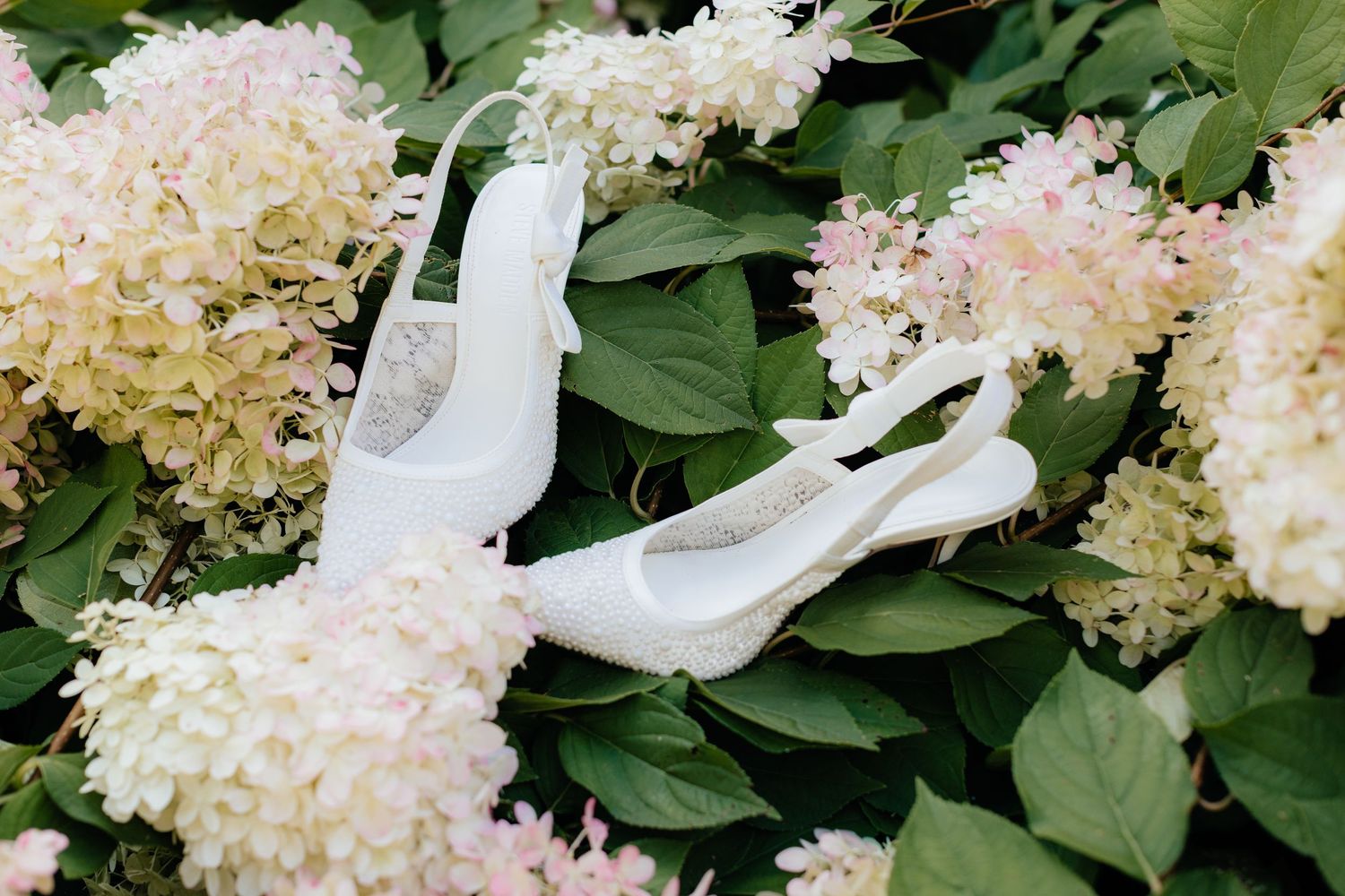 White bridal shoes nestled among lush hydrangea blooms and green leaves.