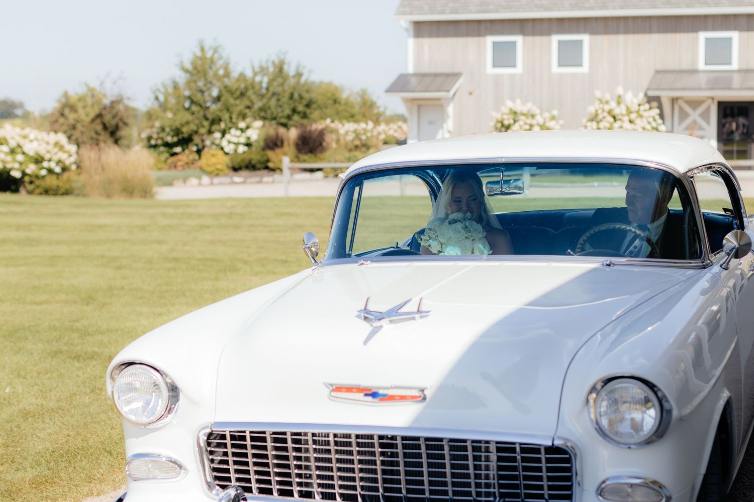 Classic vintage cars lined up at an outdoor wedding venue on a sunny day.