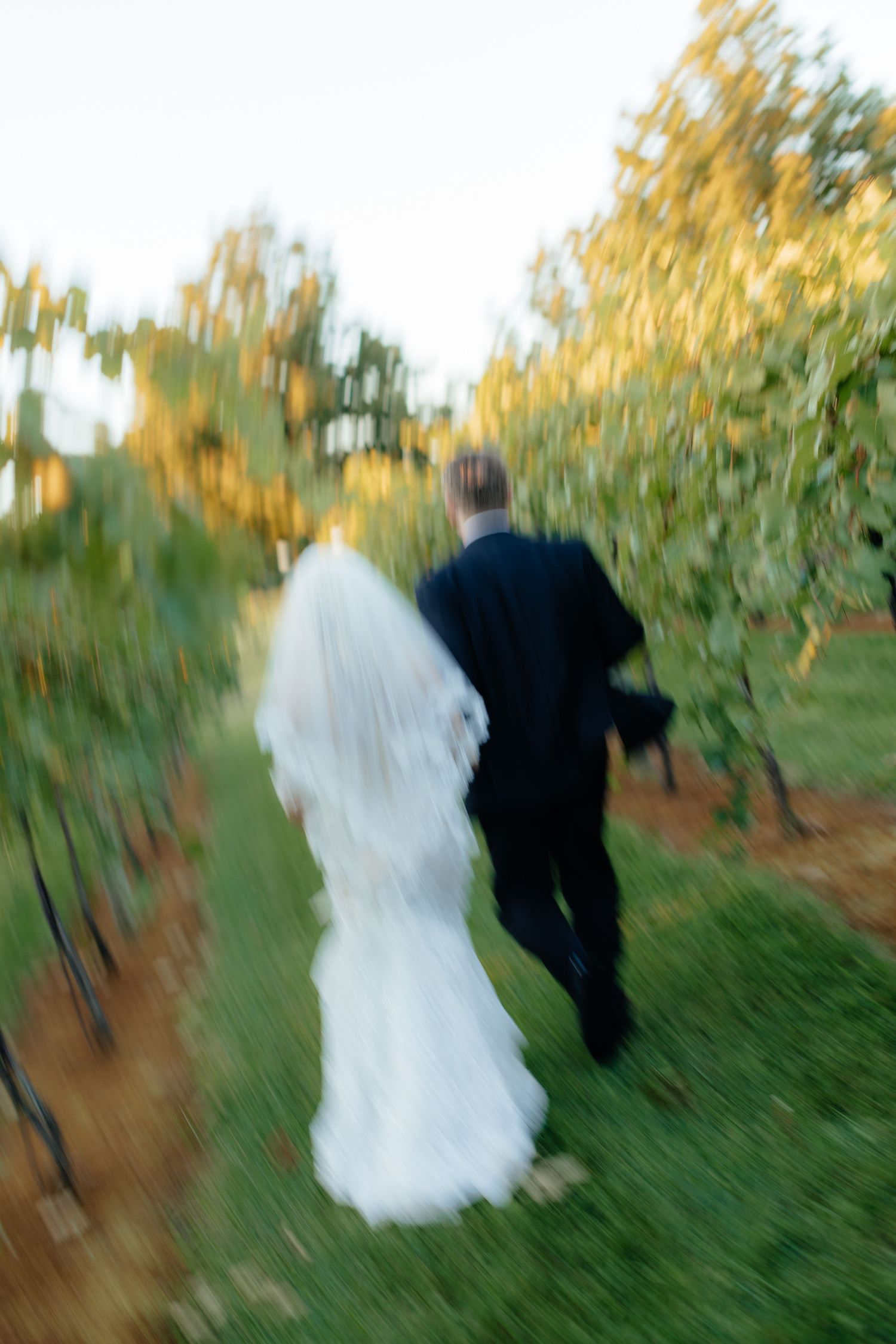 Motion-blurred wedding photos show couple walking through autumn vineyard at sunset.