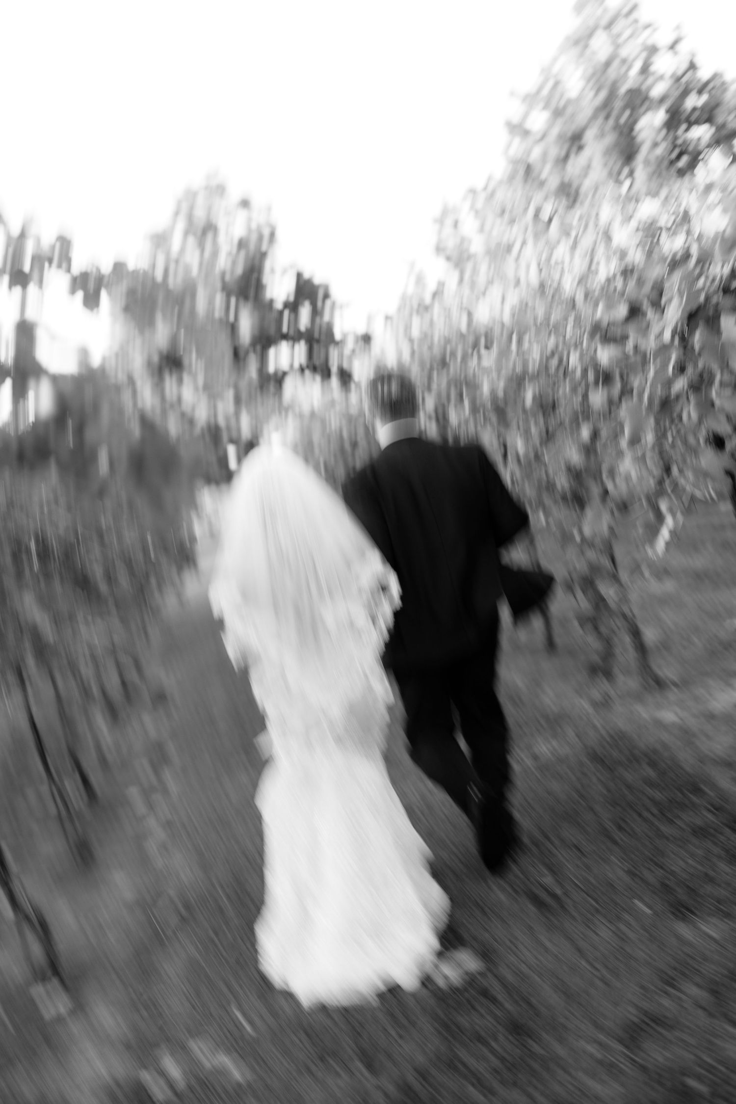 Motion-blurred black and white photo sequence of couple walking through vineyard.