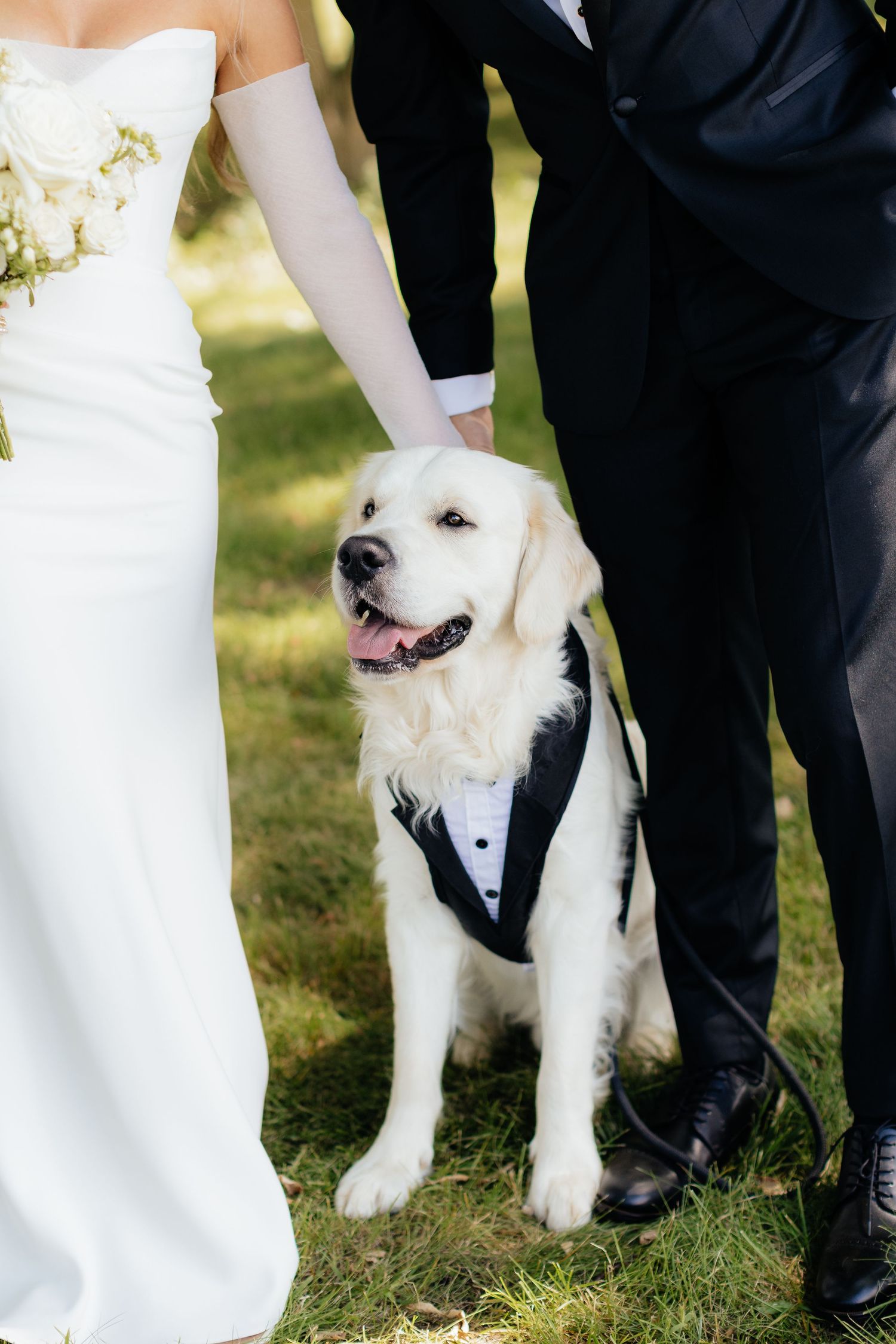 Smiling white dog wearing formal attire poses with wedding couple.
