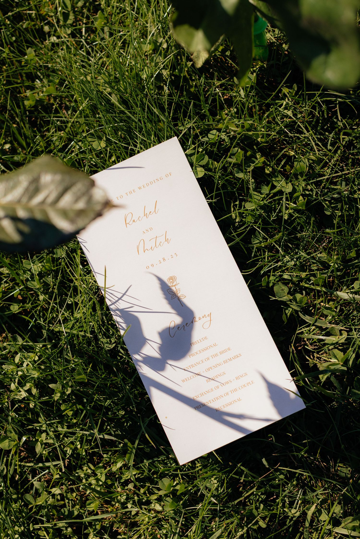 Wedding invitation cards laying in green grass casting shadows.
