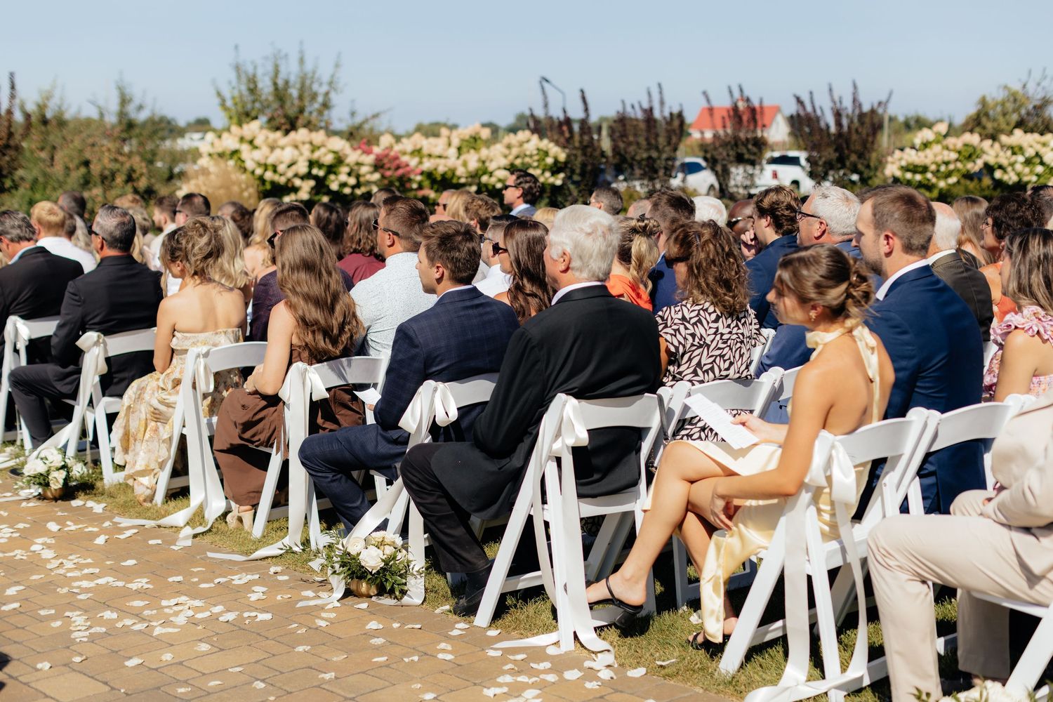 Wedding guests seated in white chairs with flower petals scattered along the aisle.