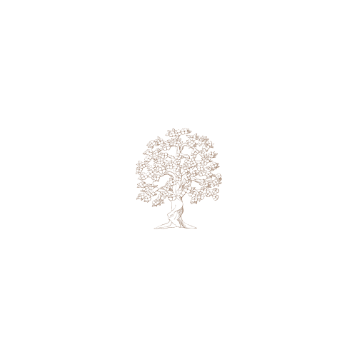 Delicate tree illustration in rose gold color on white background.