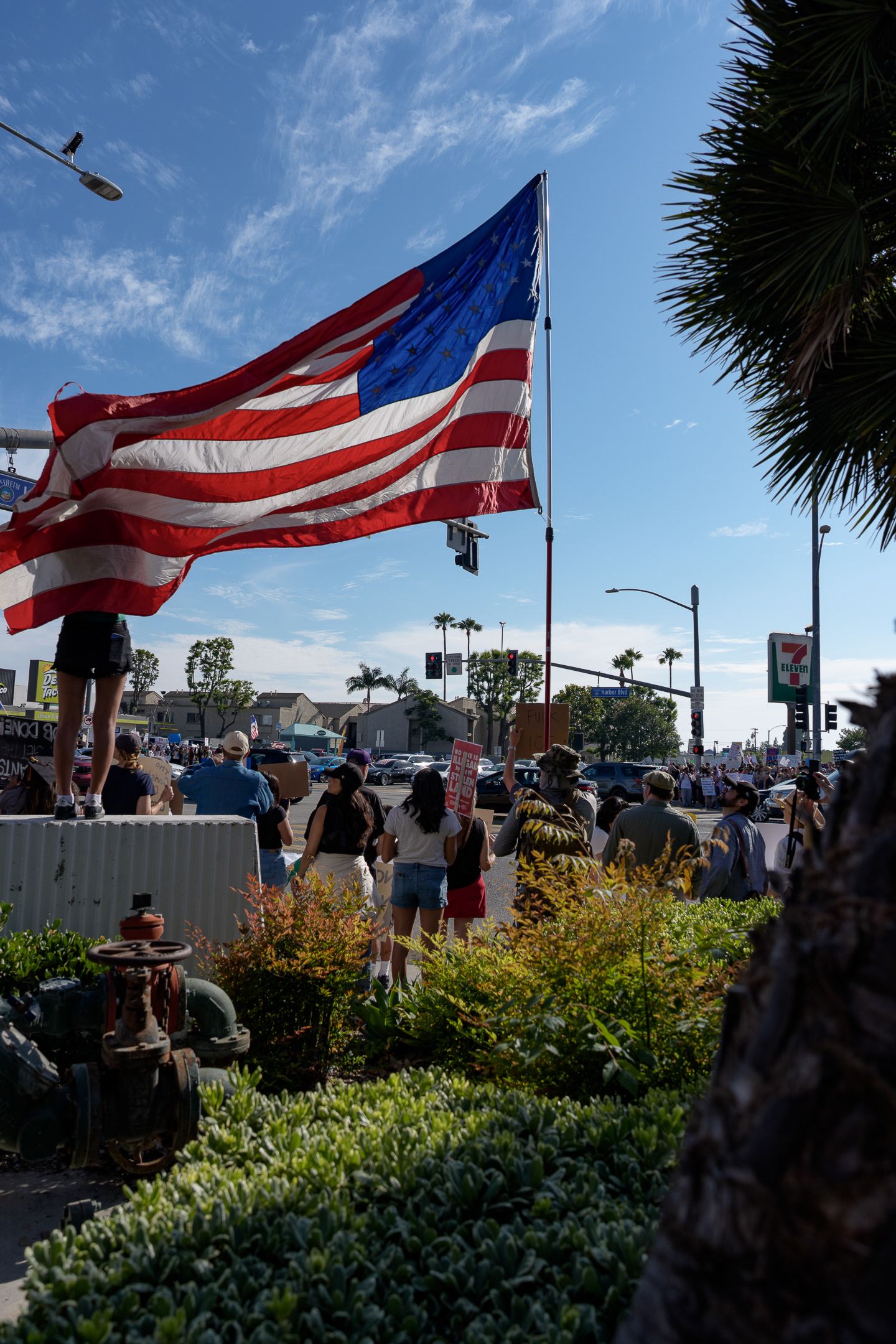 American flags wave against a blue sky with palm trees in the background.