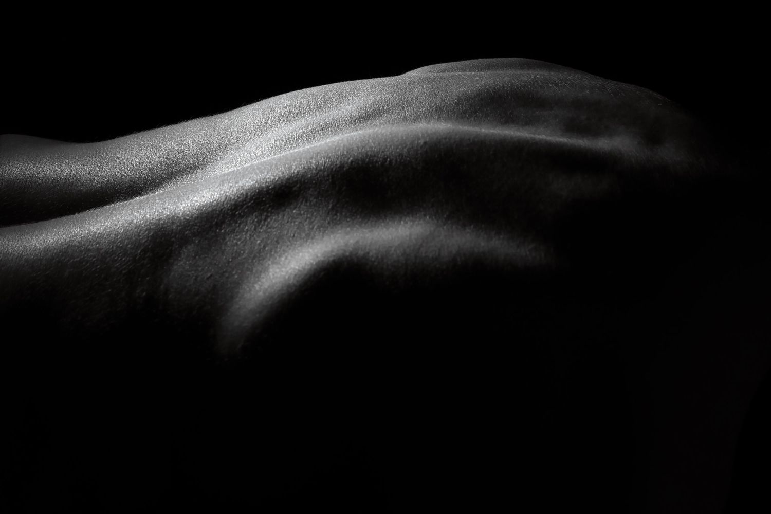 Artistic black and white low-key photograph of a human back with dramatic shadow and light.
