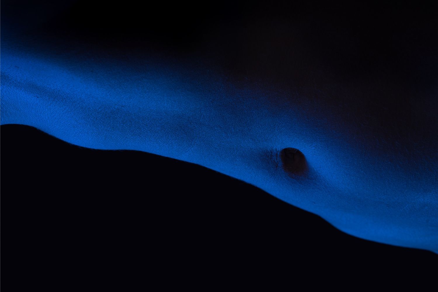Abstract blue glowing light wave against dark black background with small circular shape.