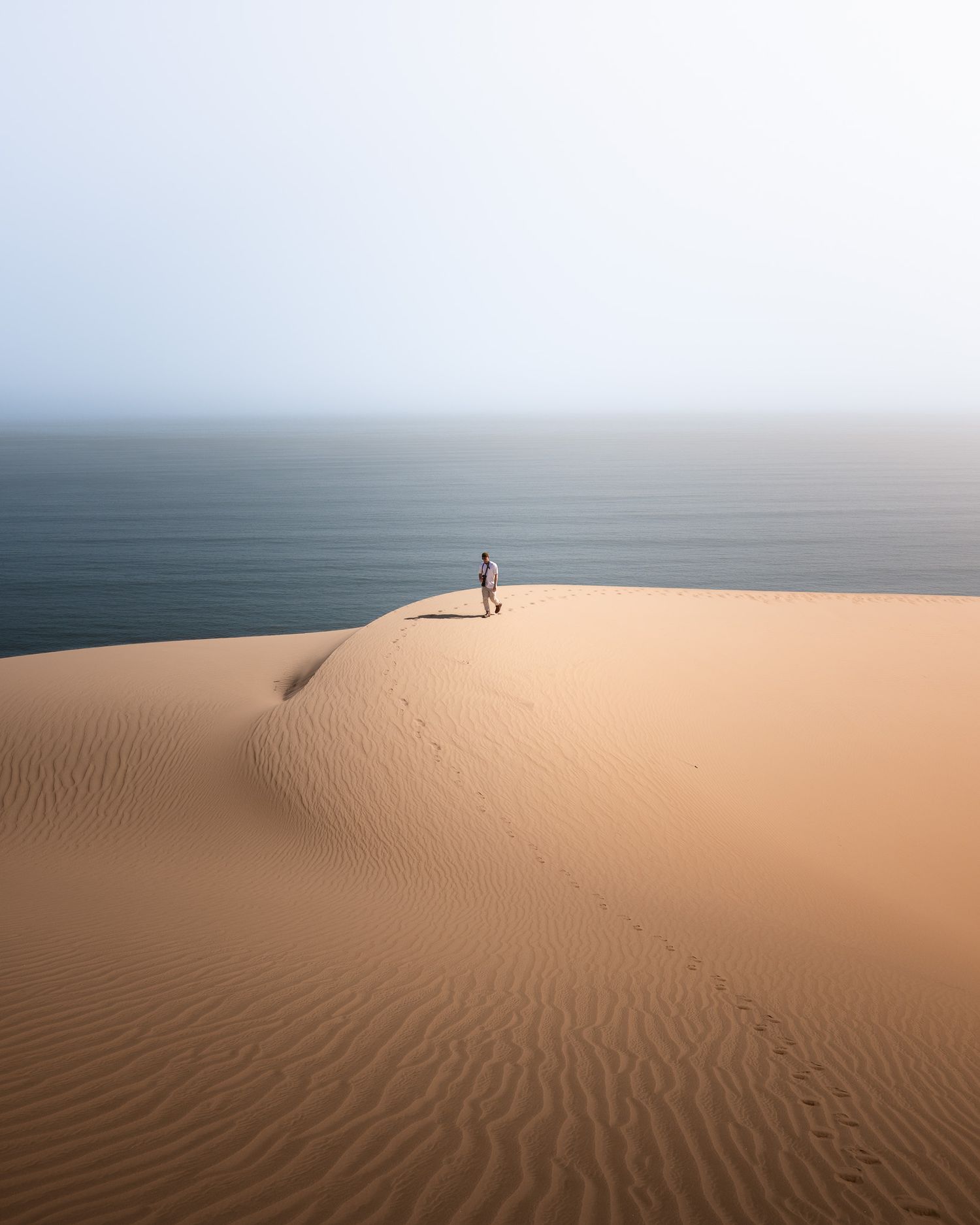 Eine Person steht inmitten der goldenen Namib-Wüste von Namibia. Im Hintergrund der Ozean, der auf die Dünen trifft.