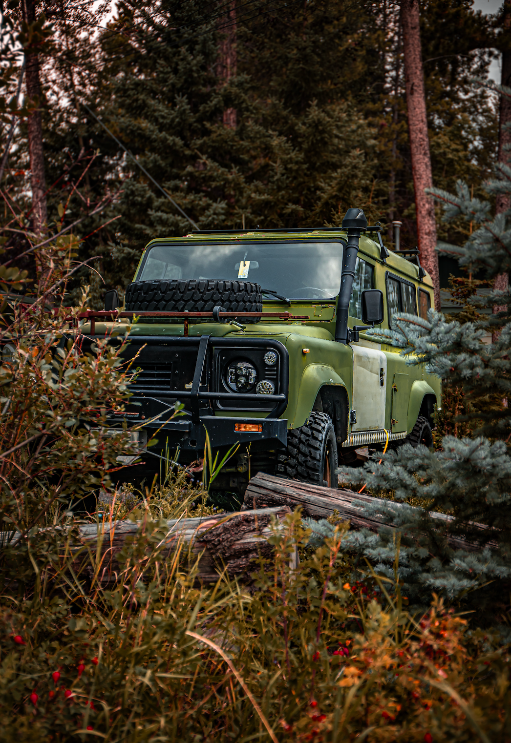 Green SUV between bushes