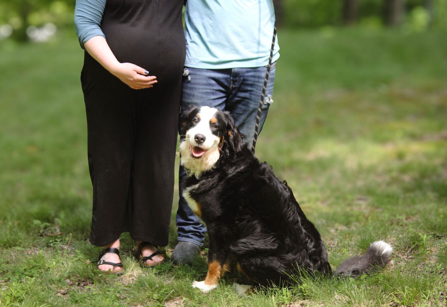 Indianapolis maternity photographer capturing pregnancy, family, pets, and lifestyle moments with natural, timeless images