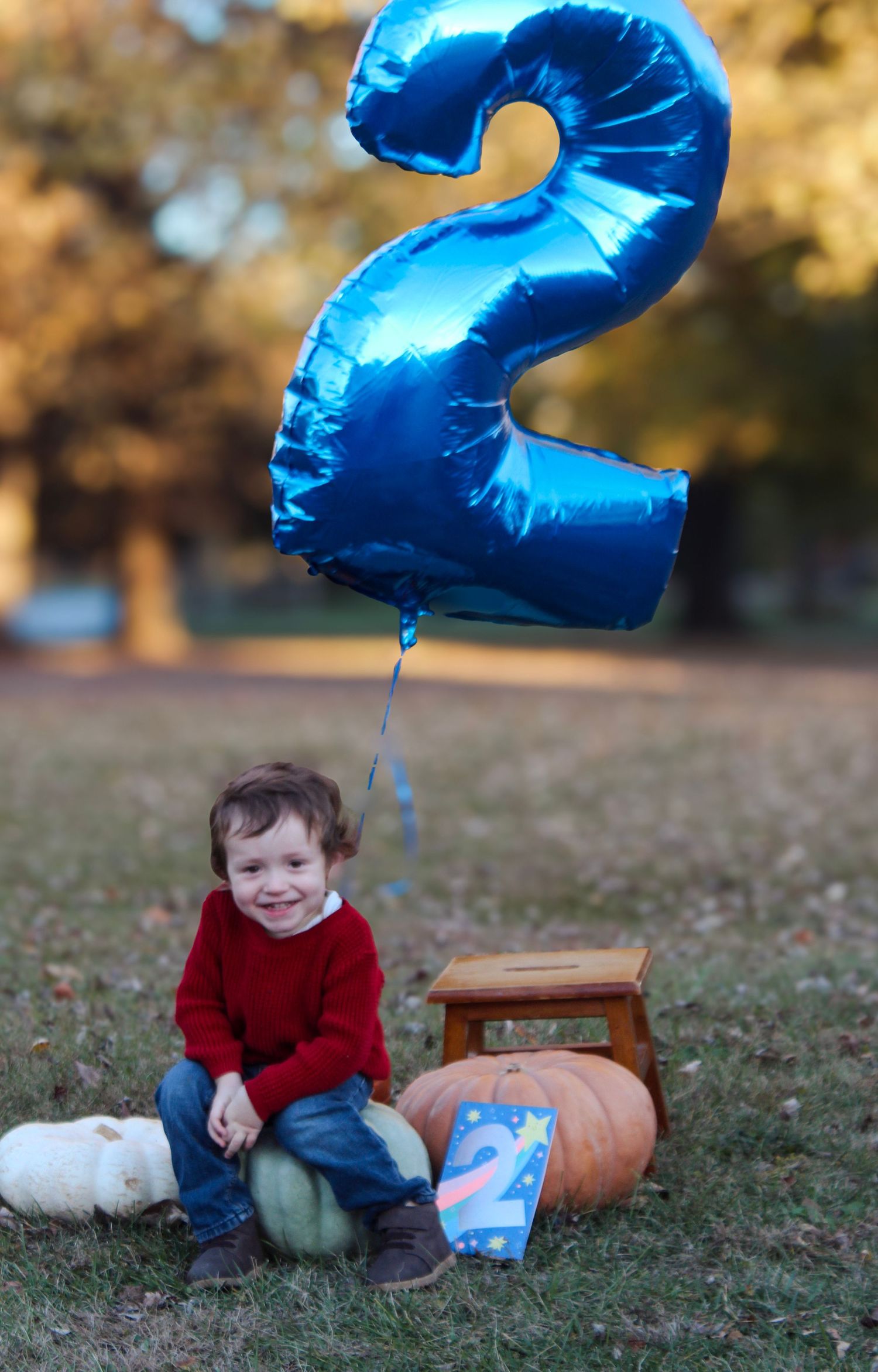 Indianapolis family and toddler photographer capturing playful, natural, and heartfelt moments of your little ones birthday