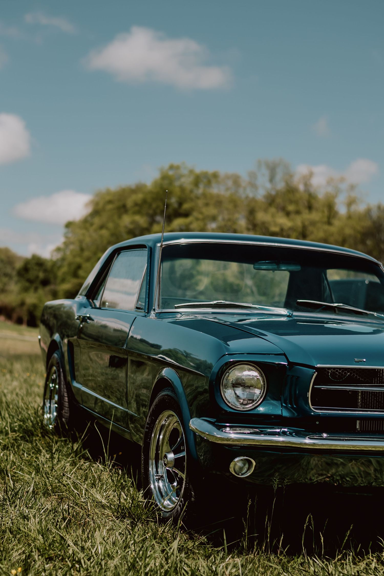 A classic teal Ford Mustang photographed in a grassy field under a bright blue sky.