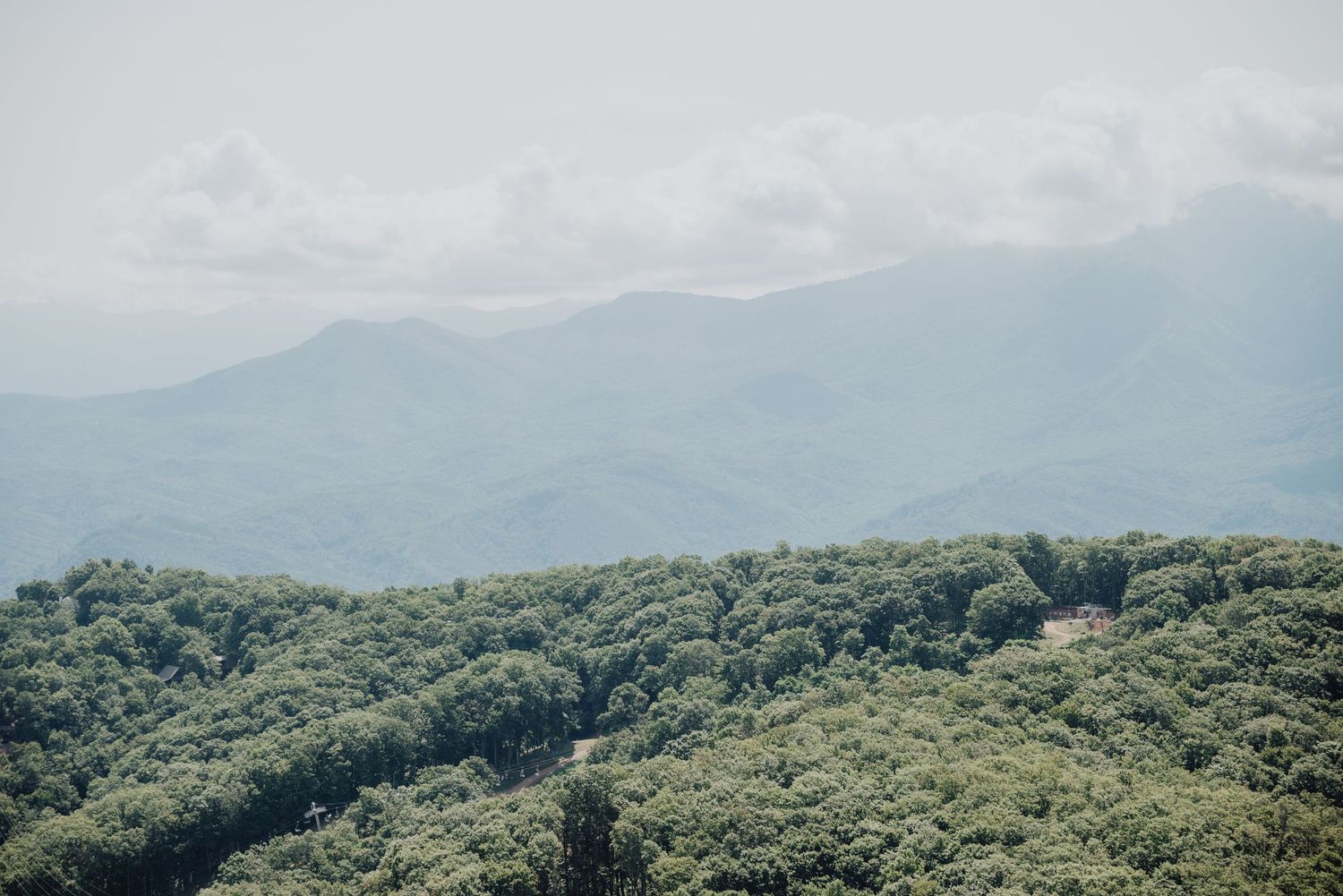 Lush green forested mountains layered against a misty sky with rolling hills in the background.
