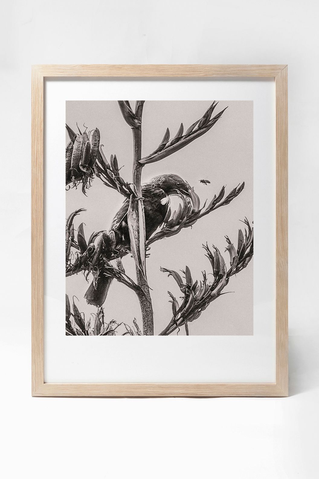 Black and white framed art print showing detailed branches and leaves.