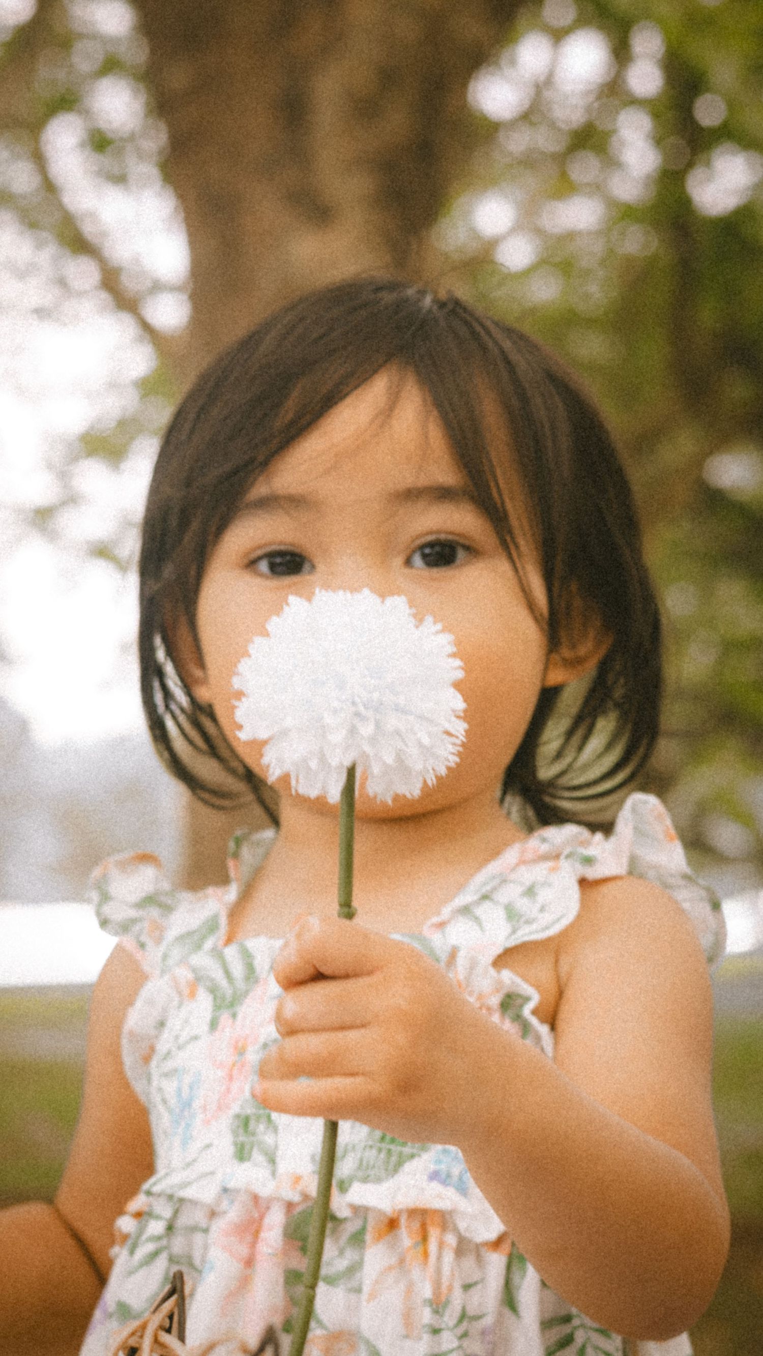 A young Asian girl in a floral dress holds a white dandelion flower up to her face outdoors.