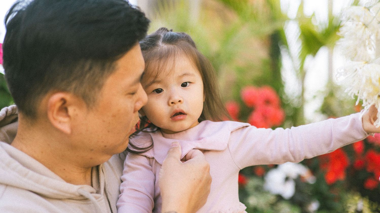 A father holds his toddler daughter as she reaches out to touch white flowers in a garden.