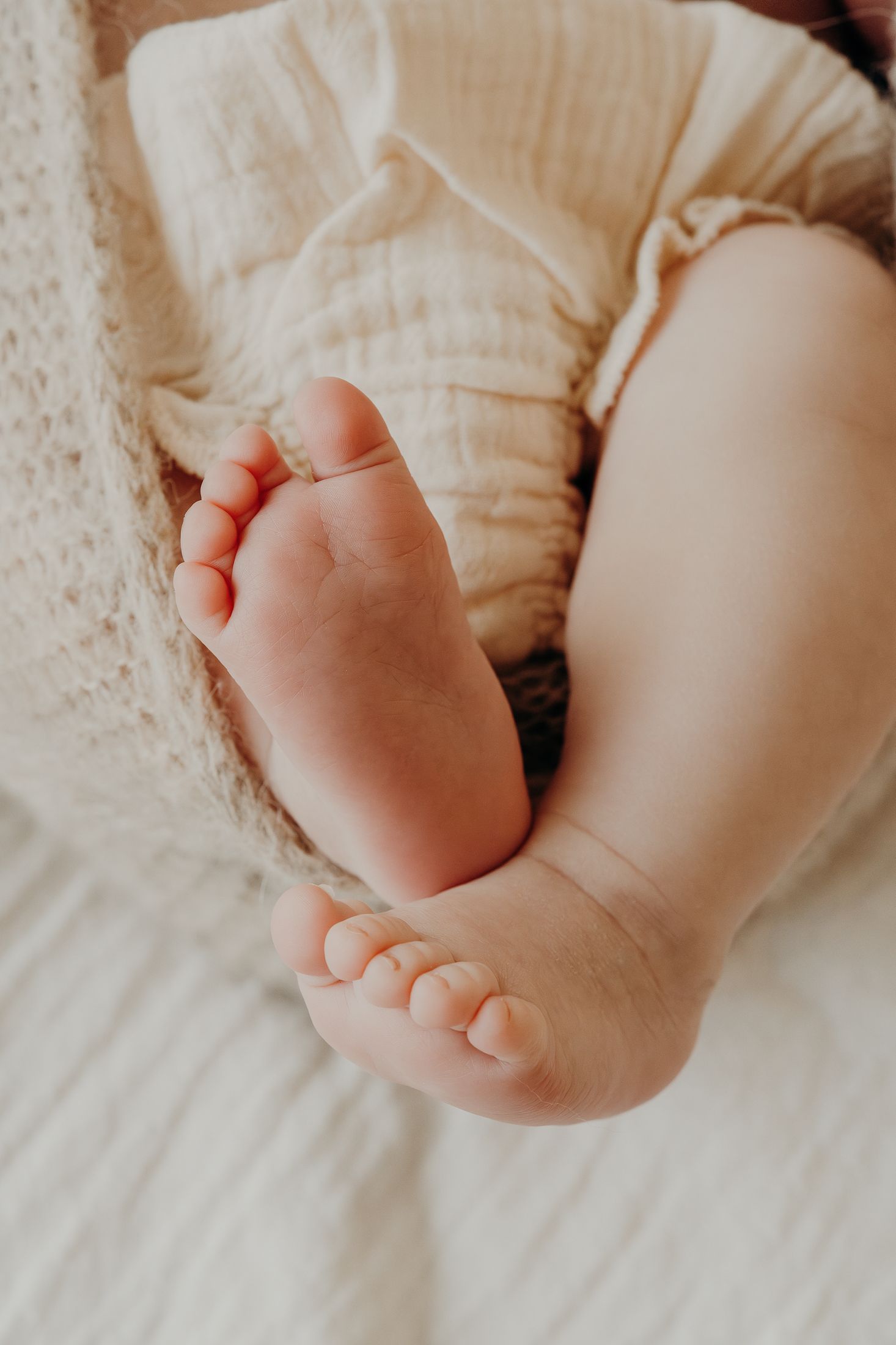 Close up of tiny baby feet with soft white fabric in warm natural lighting.