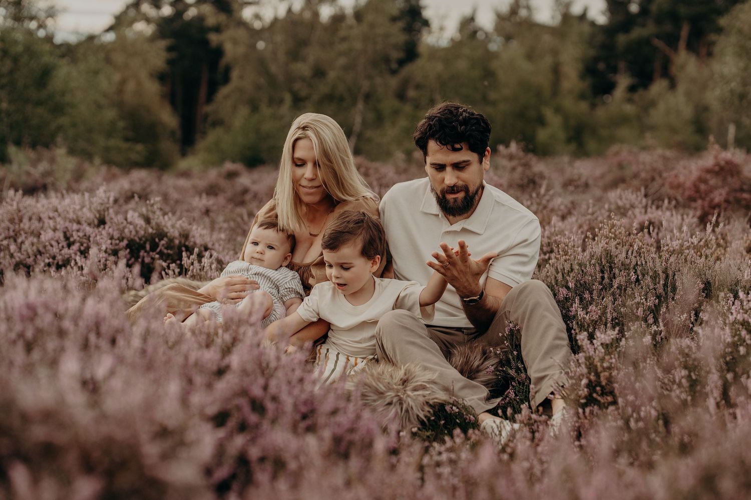 Family photoshoot in a field of purple heather during golden hour.