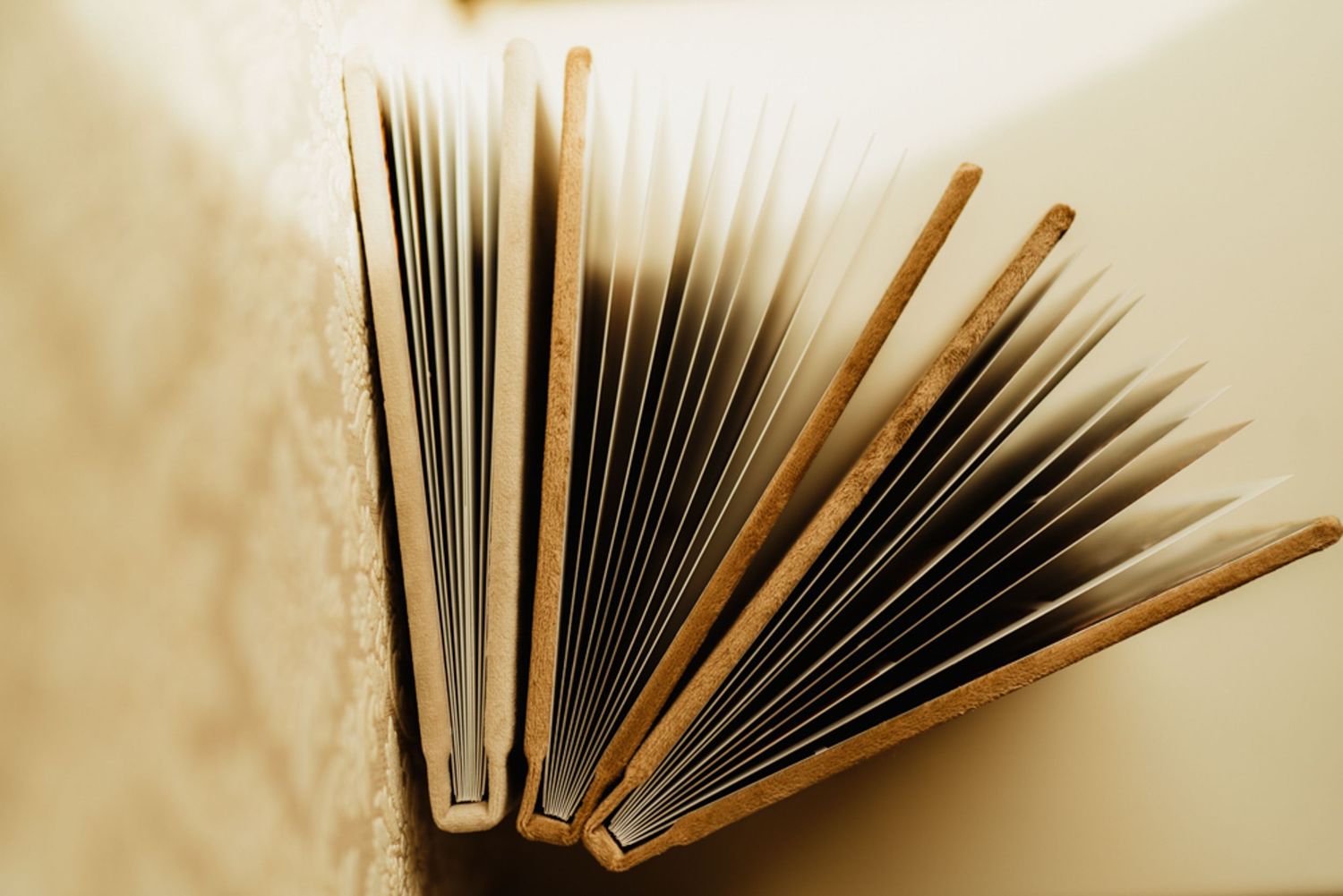 Artistic close-up of book pages fanned out against light background.