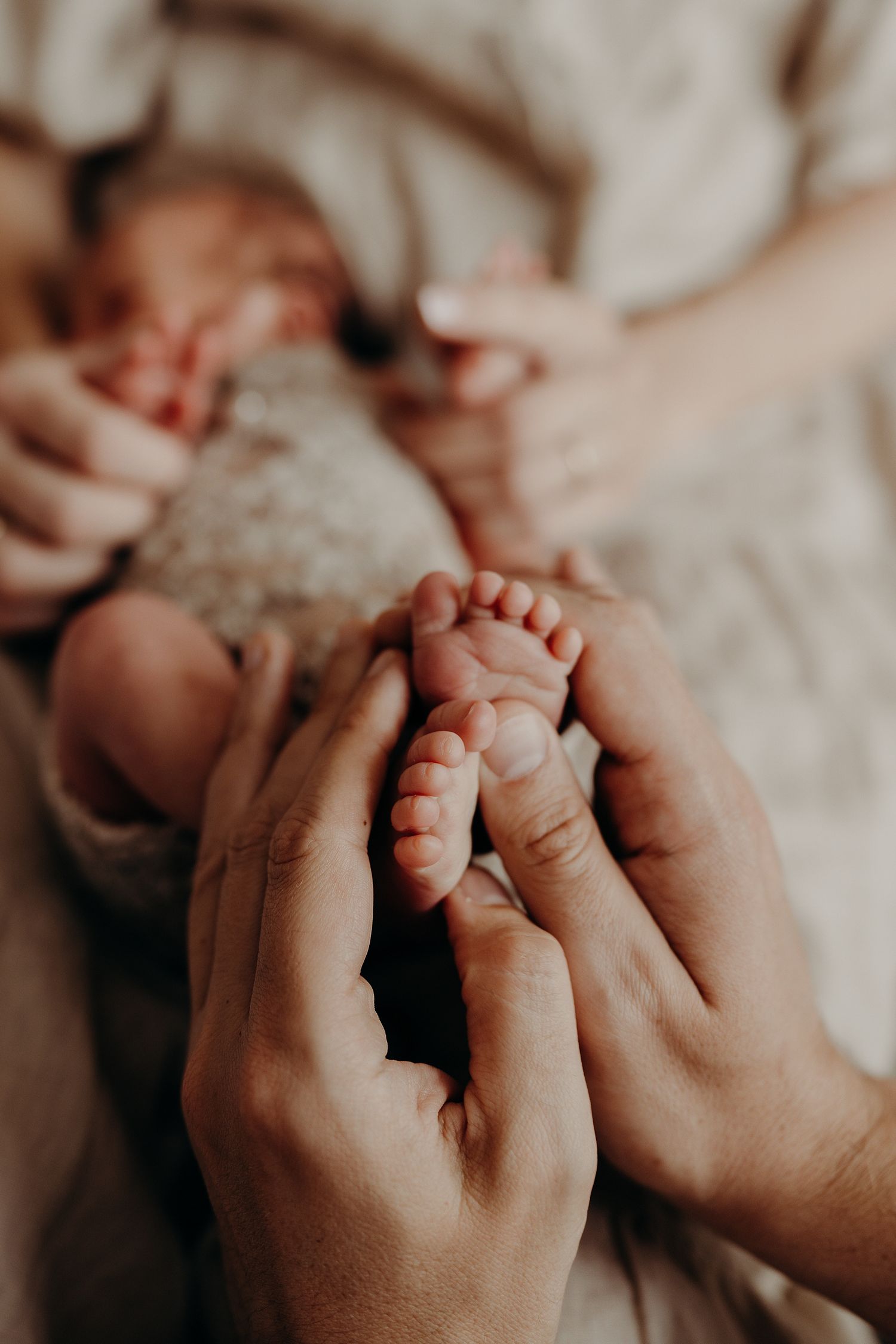 Close-up of tiny newborn baby feet being held by caring hands.