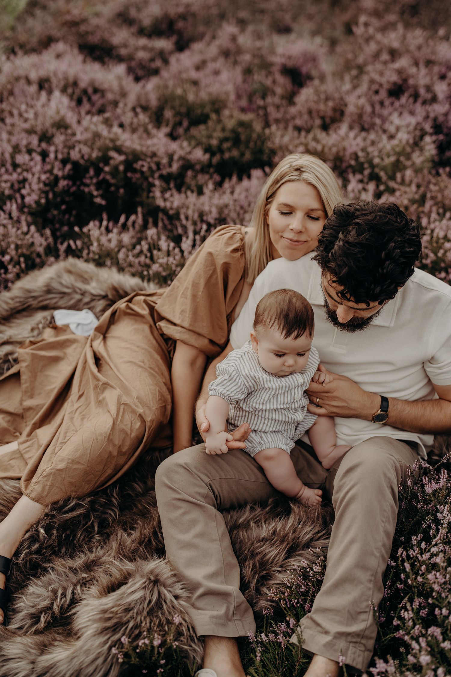 Family lying together in a field of purple heather during golden hour photography session.