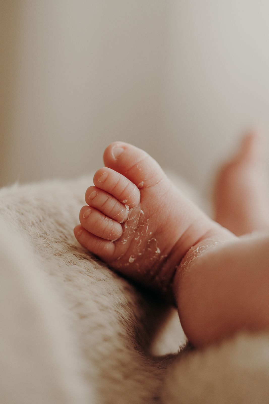 Close-up of tiny baby toes on soft furry blanket in natural light.