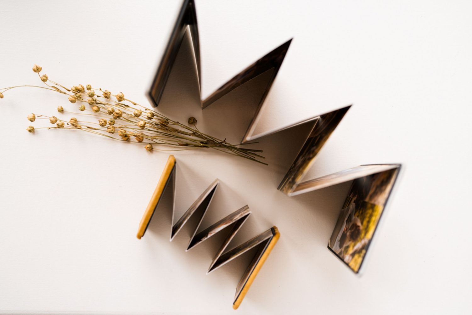 Elegant accordion-style photo album with delicate dried flowers and gold accents displayed on white surface.
