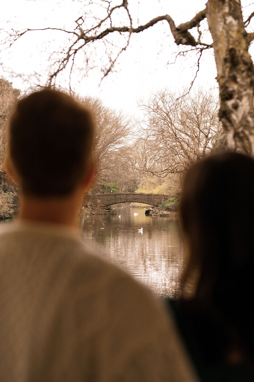 A person stands in a park, with a bridge and trees visible in the background.
