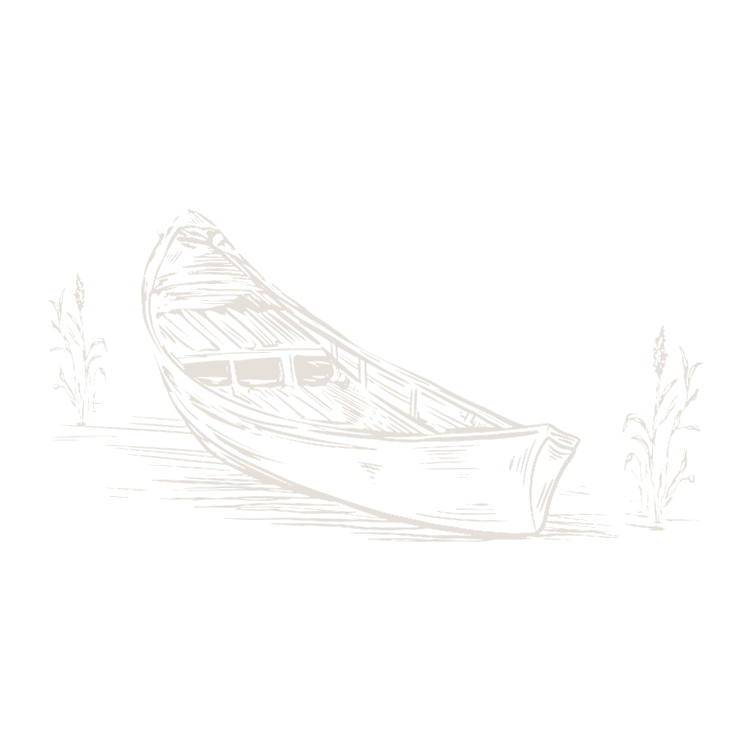 Delicate sketch illustration of a wooden rowboat with aquatic plants on white background.
