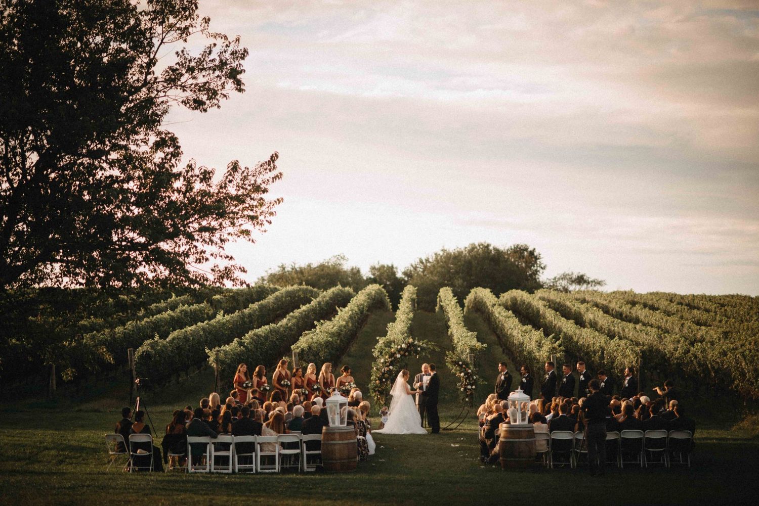 Outdoor vineyard wedding ceremony at sunset with guests seated among lush green grapevine rows.
