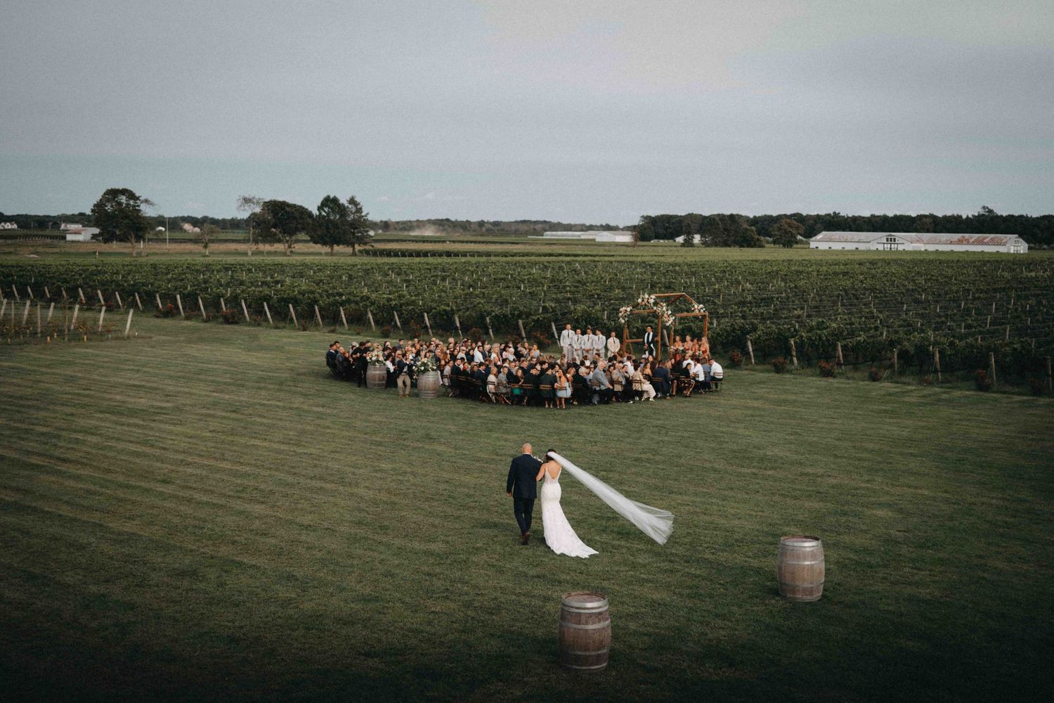 Aerial view of bride and groom embracing before large wedding guest gathering in vineyard field.