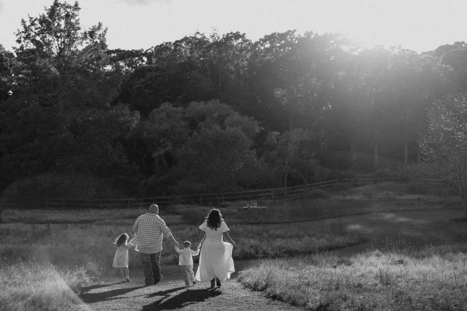 Black and white photo of a family holding hands walking down a path toward sunlit trees in an open field.
