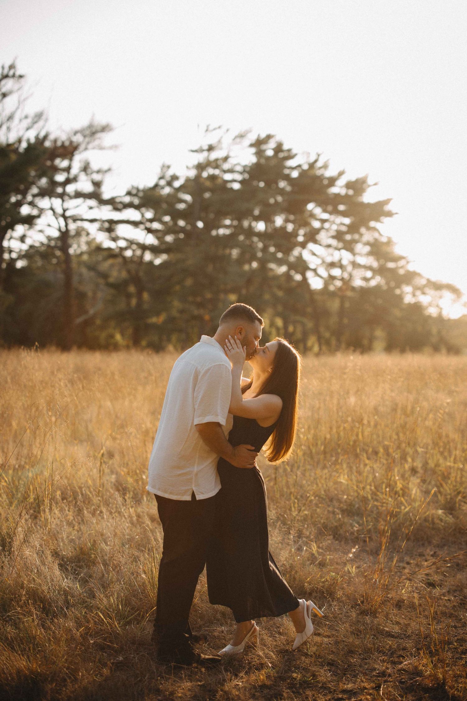 Couple sharing a romantic kiss in a golden sunlit field during sunset with trees in the background.