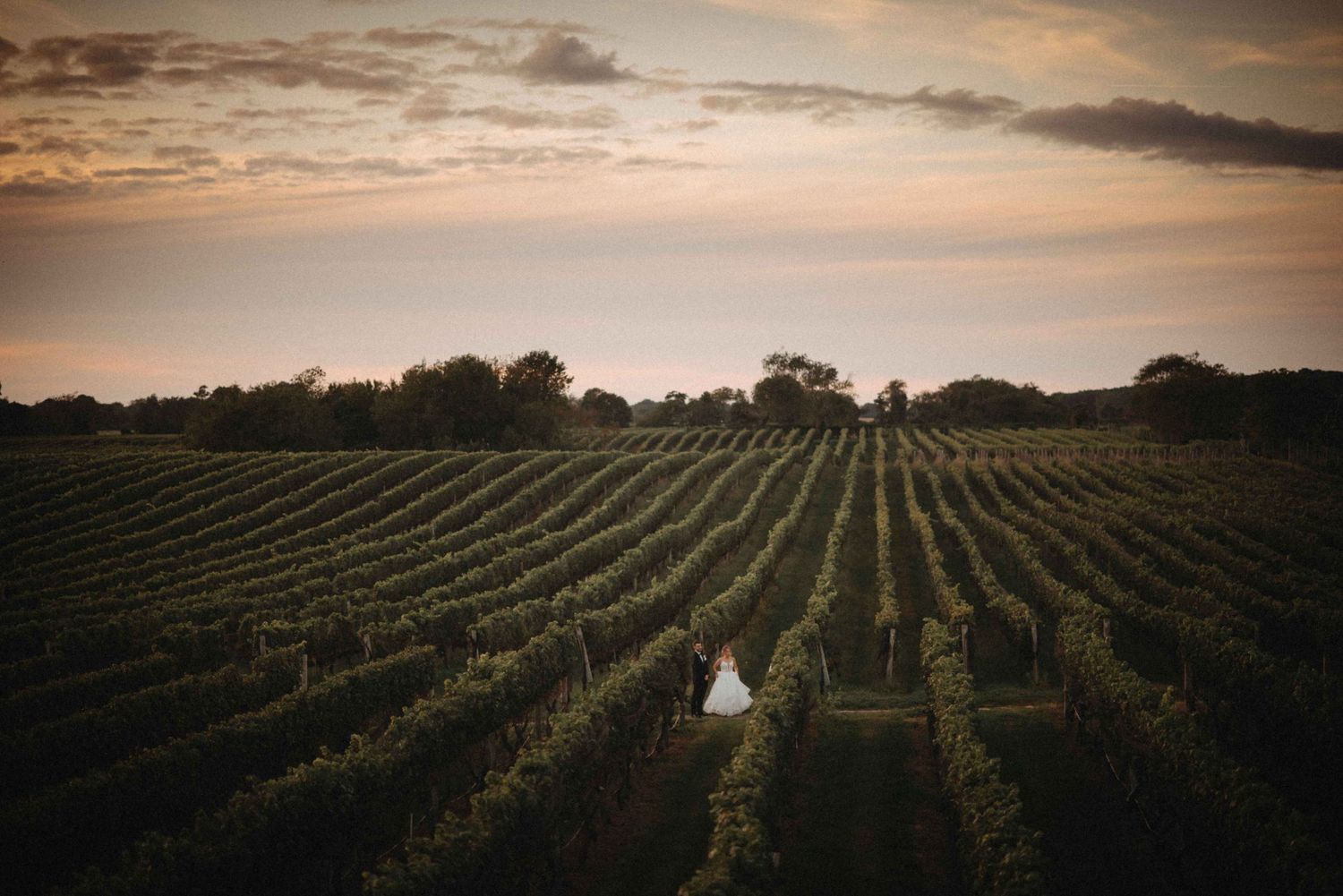 Bride in white gown stands alone amid vast vineyard rows under a stunning golden sunset sky.