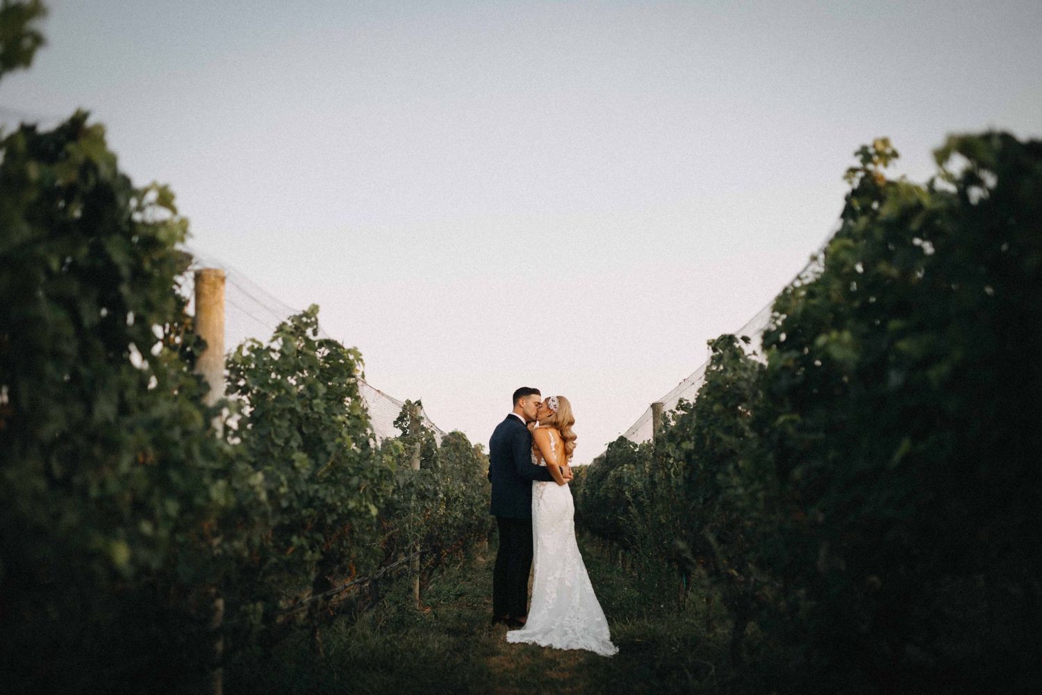 Bride and groom sharing romantic moment between vineyard rows at twilight.
