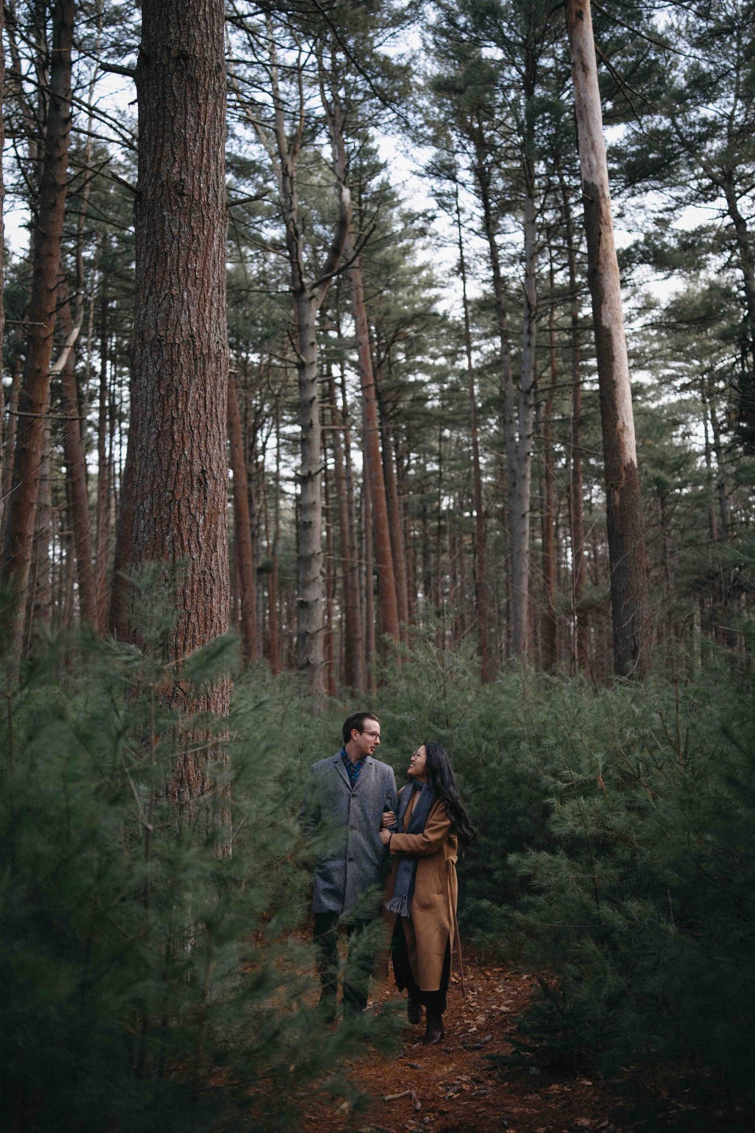 Couple walks hand in hand through tall pine forest during engagement session.