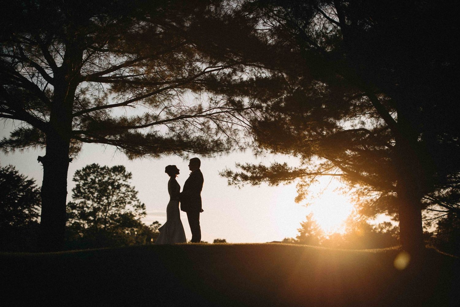 Romantic silhouette of a bride and groom standing together beneath trees at golden sunset during wedding.