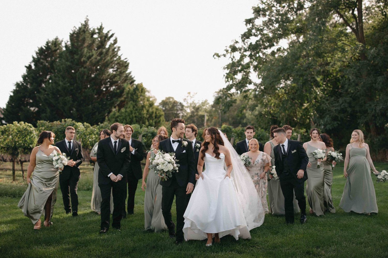 Wedding party walks through vineyard with bride and groom kissing at center.