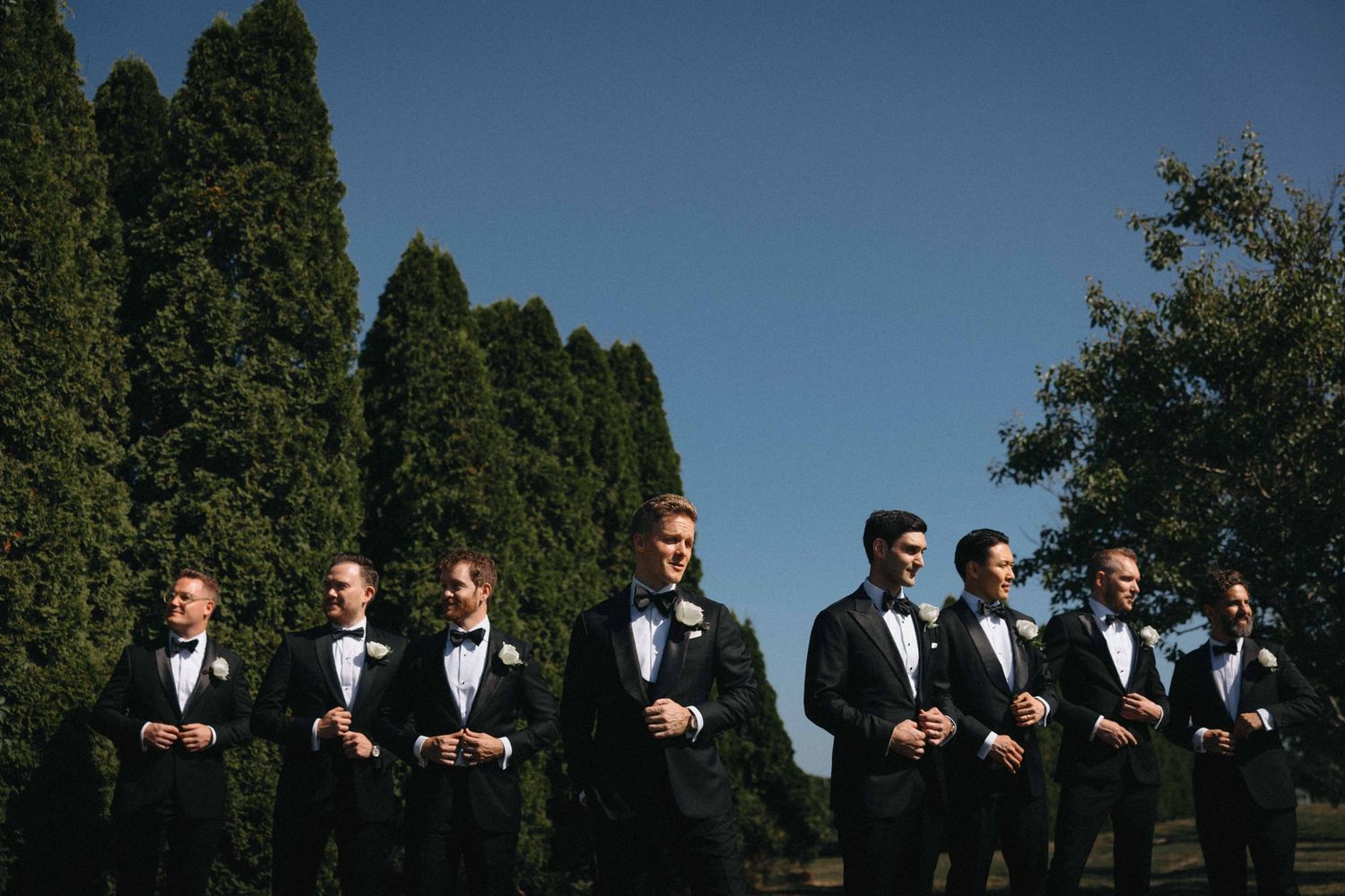 Groom and groomsmen in matching black tuxedos and bow ties line up confidently beneath tall cypress trees.