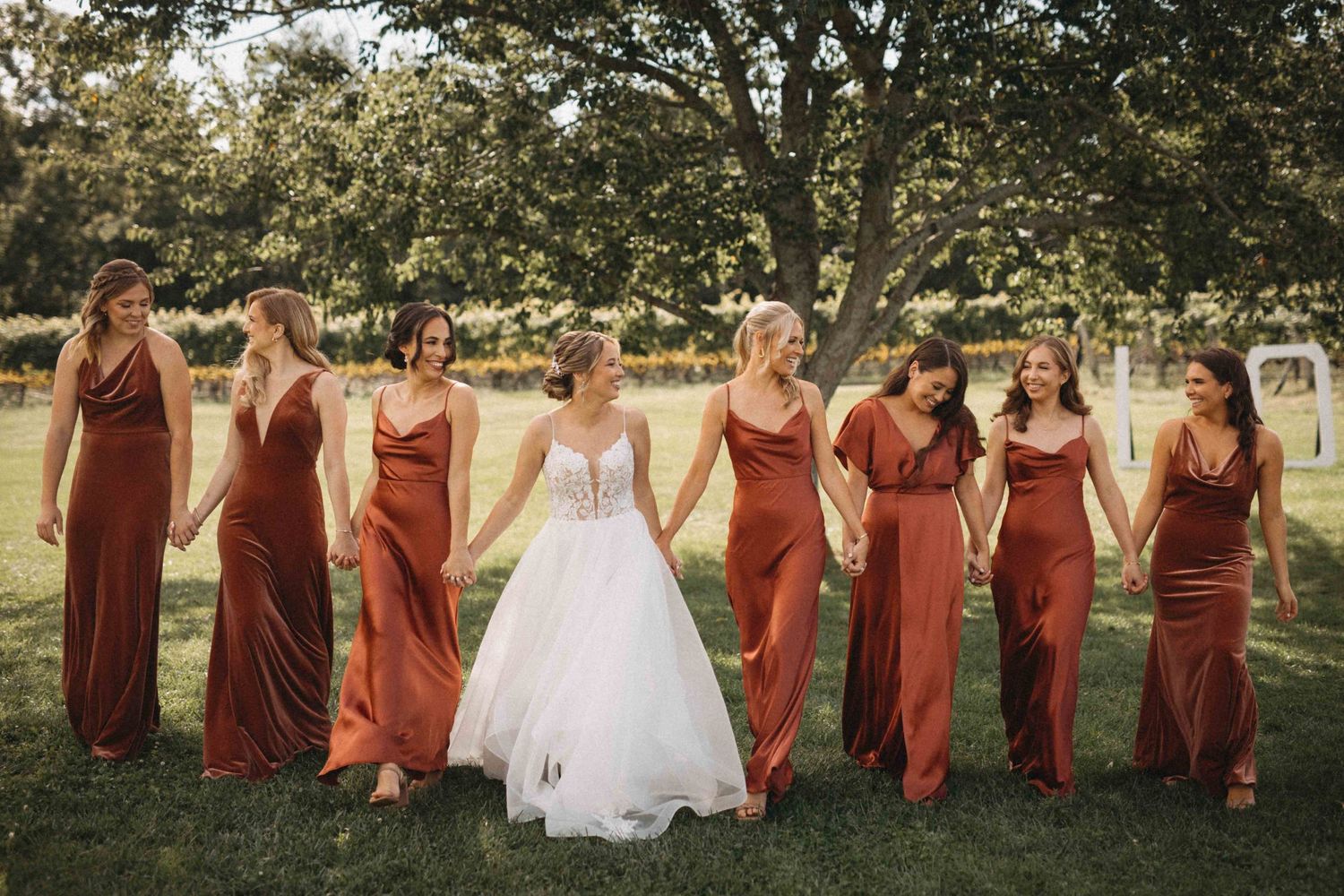 Bride walks with six bridesmaids in rust-colored velvet gowns through a sunlit vineyard setting.