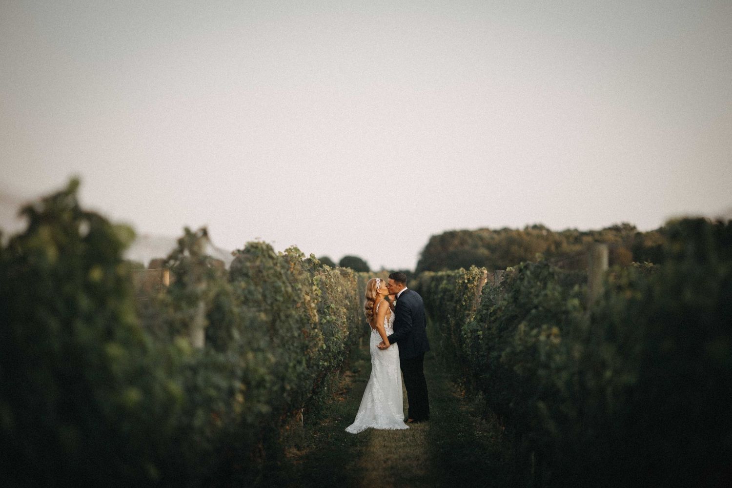 Bride and groom sharing romantic kiss between lush vineyard rows at dusk.