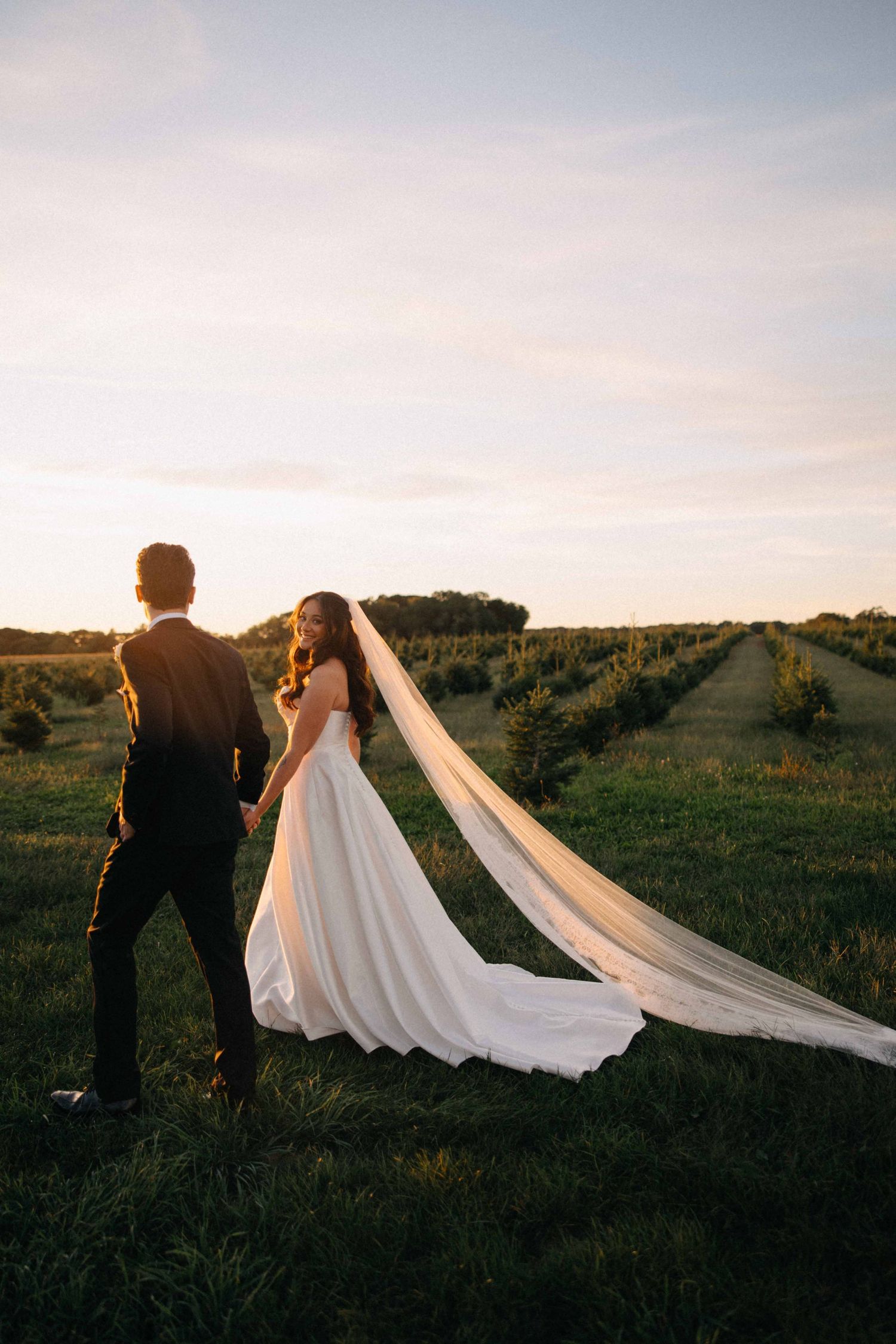 Bride in flowing gown with cathedral veil walks with groom through golden sunset orchard.