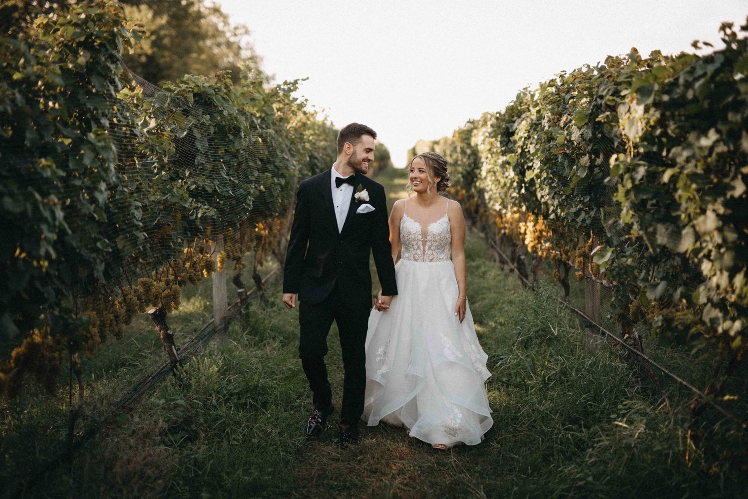 Happy couple walks hand in hand through lush vineyard rows in golden evening wedding portrait.