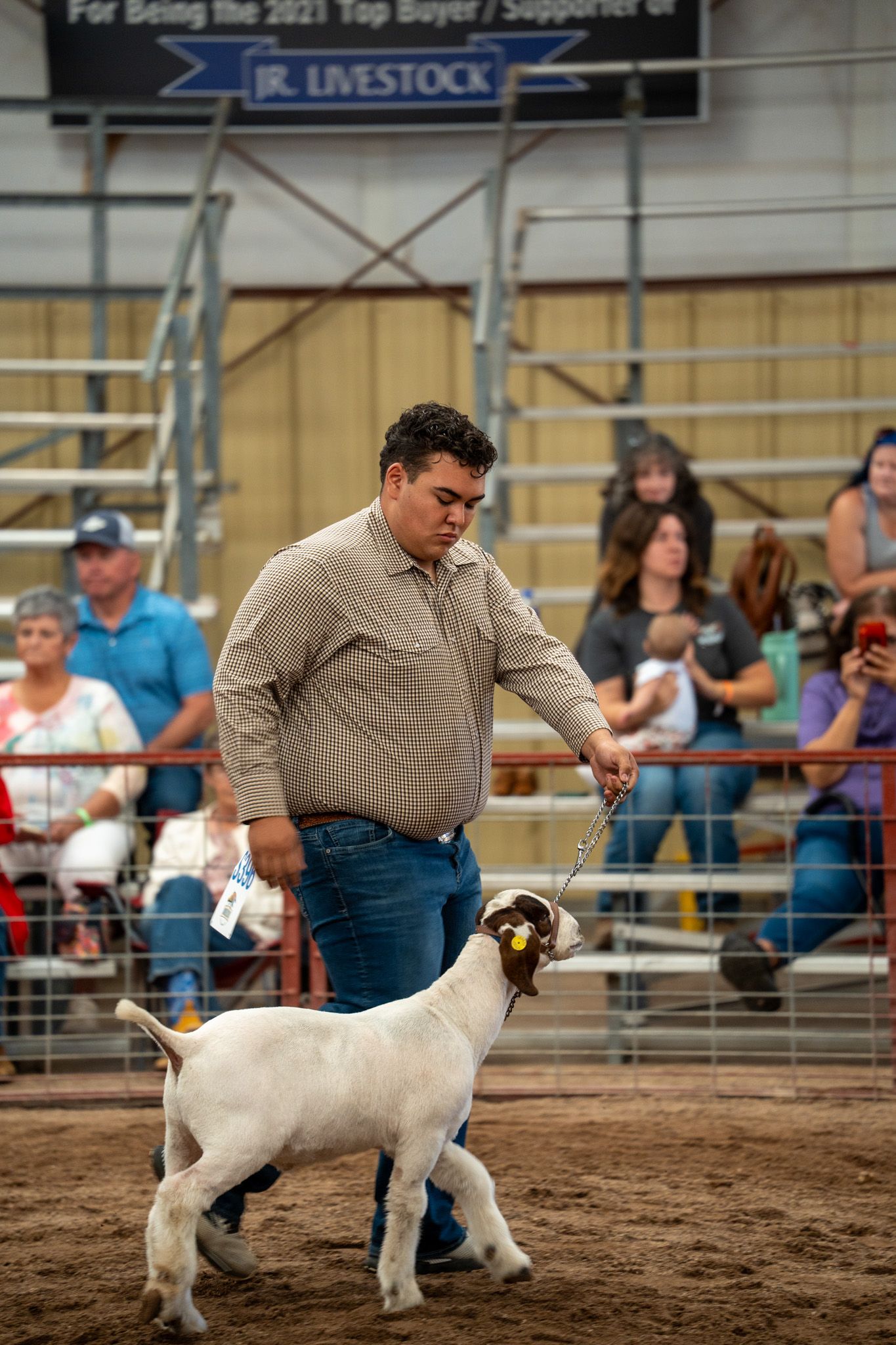 A handler shows a white goat in a livestock arena with spectators watching from bleachers in the background.